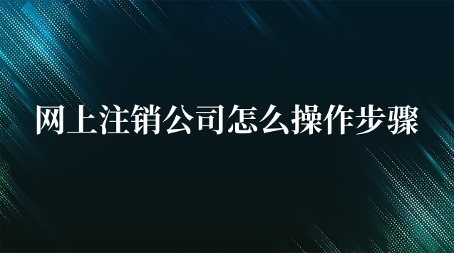 網上怎么注銷公司的步驟(網上公司注銷流程步驟)