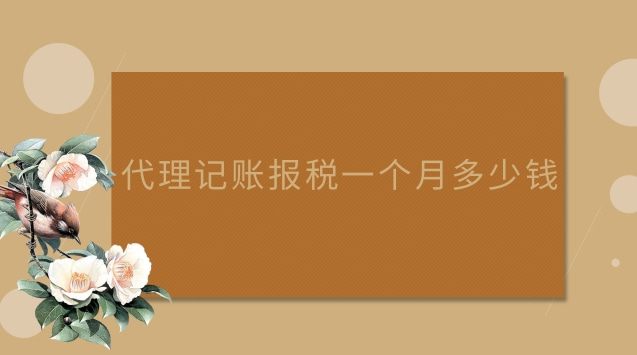 代理記賬報(bào)稅一個(gè)月多少錢(qián)